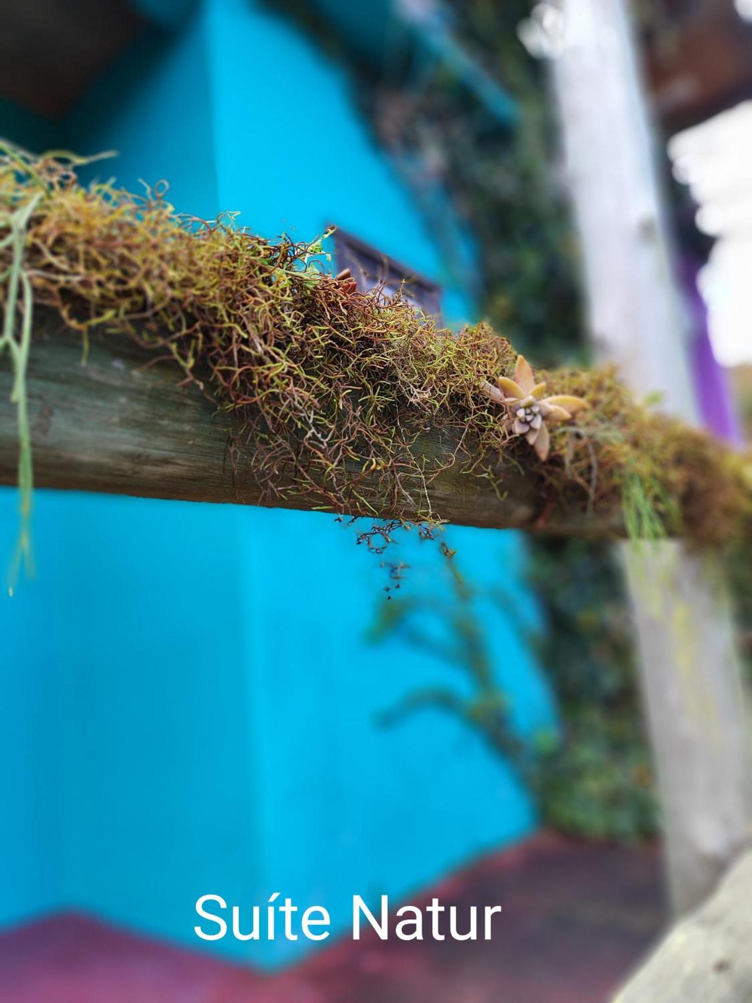 Vila Ecologica Cambara エクステリア 写真